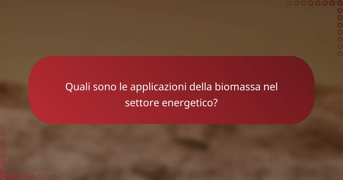 Quali sono le applicazioni della biomassa nel settore energetico?