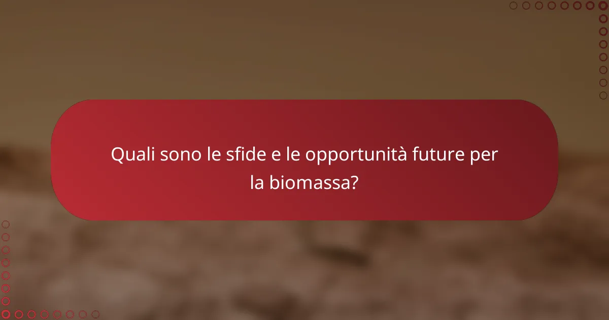 Quali sono le sfide e le opportunità future per la biomassa?